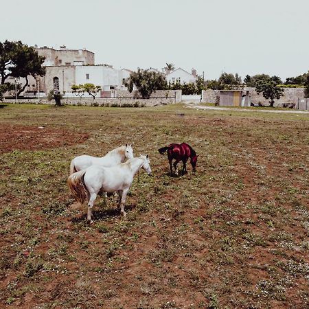 Masseria Francescani Torre Chianca Exterior photo